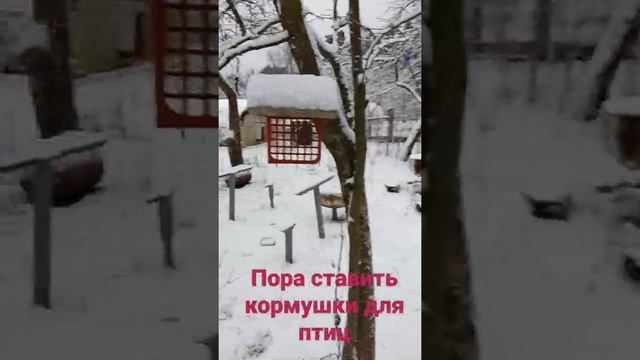 Пора ставить самодельные кормушки для птиц