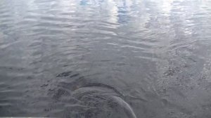 Рыбалка с Ночёвкой! Огромная Щука и Окунь на Спиннинг! Такую Рыбалку  Мы не забудем Никогда!Часть 1