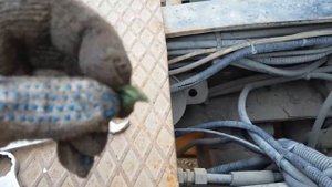 Проблемы с коробкой , перестали включаться скоростя на Мане....