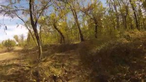 Осенняя поездка в лесопарк на электровелосипеде 24в. 250 Ватт
