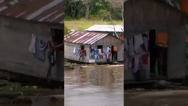 RIBEIRINHOS DA AMAZÔNIA. Comunidade ribeirinha no rio Purus próxima da foz no rio Solimões/Amazonas