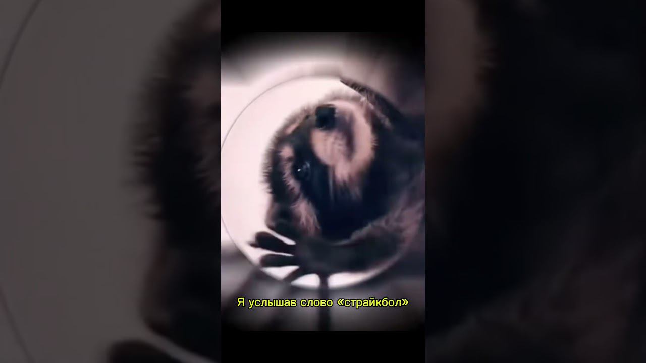  смотреть онлайн