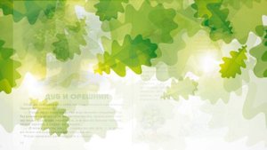 Толстой Л. Дуб и орешник.mp4