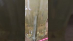 ННО 1. Разложение воды на водород и кислород при минимальных нагрузках