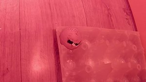 Рождение цыпленка