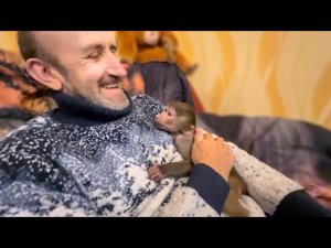 САМОЕ СМЕШНОЕ ВИДЕО! Я ужасно ругаю Люську за обои, а она мне ОТВЕЧАЕТ)))