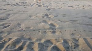 14.🔴Vlog ❤Green Max Hotel 5 */Turkey/Belek/Отдых с детьми май 2017