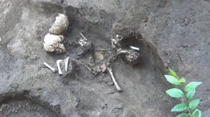 Семейные деревянные склепы на раскопе по улице Чехова, 20Б