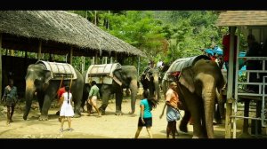 The Perfect Place to Go Elephant Safari and Boating | Kerala Tourism | M M Travel Guide