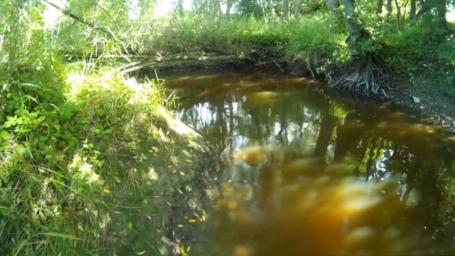 и снова за форелькой смотреть онлайн