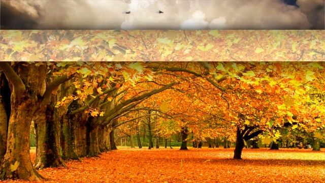 ✿Образцы анимации программы DP Animation Maker смотреть онлайн