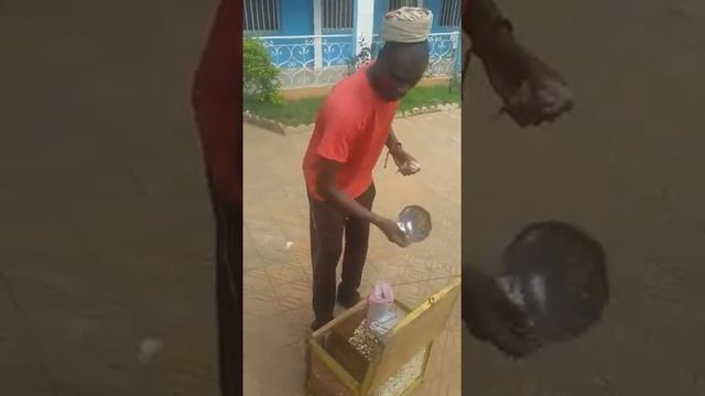 African Chana seller