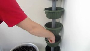 Клубника на балконе #2. Косяки
