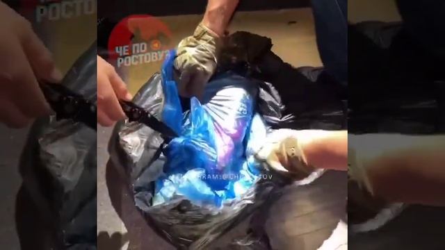 В Ростове осужден поджигатель военкомата из Красноярска смотреть онлайн