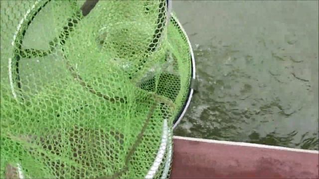 Рыба после запуска продолжает активно клевать!!!Клевое Место д.Савельево смотреть онлайн