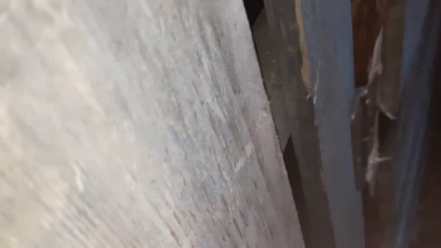 КОЗА ОКОТИЛАСЬ!!! ЧЁРНО-БЕЛОЕ ПОПОЛНЕНИЕ!!!! смотреть онлайн