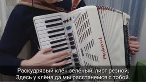 Смуглянка на Аккордеоне - Текст Слова - Аккордеонист Баянист