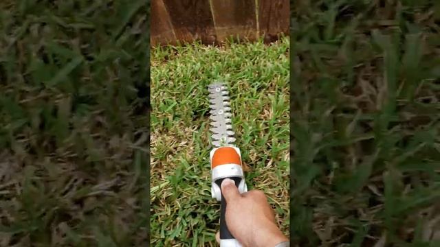Stihl HSA25 Grass/Shrub Shear Touch Up!!! смотреть онлайн