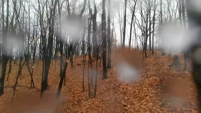 Кубок Ульяновской области по спортивному ориентированию. Винновская роща, 29.10.23 (1080p, 60fps)