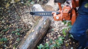 Бензопила урал 2т электрон пилит бревно Chainsaw Ural 2t electron saws a log
