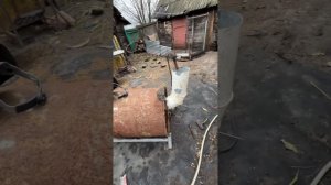 Печка для курятника за 2 минуты