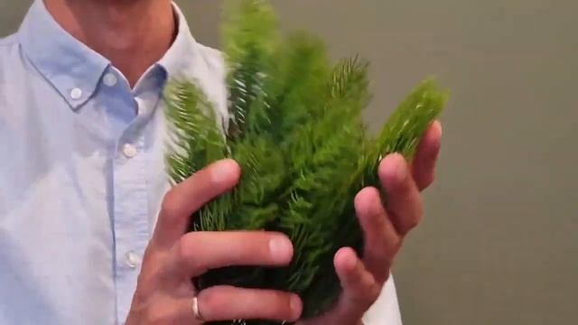 Еловая ветка искусственная - ОБЗОР смотреть онлайн