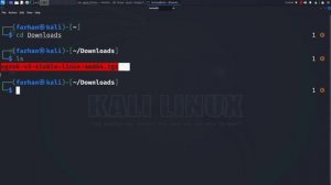 How to Install and Run NGROK in Kali Linux