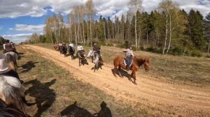 Конный поход, 5 часов в седле, 4К видео  || В поле на коне