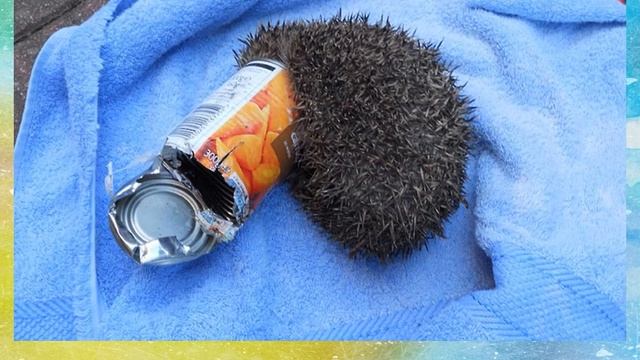 «Мы с природой дружим»: мастерим из бросового материала