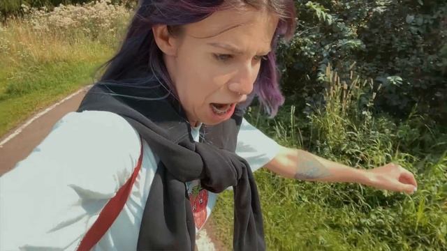 ЖИВУ один ДЕНЬ как в 2к16 смотреть онлайн