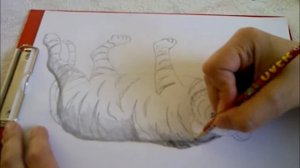 КАК НАРИСОВАТЬ ТИГРА(очень просто, для начинающих)