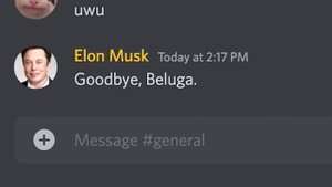 Если бы Илон Макс купил дискорд (If Elon Musk owned Discord) | Перевод на русский язык
