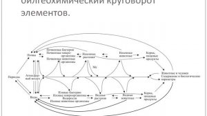 Биосфера как планетарная организация жизни