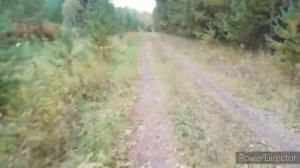 Охота на рябчика с манком!!