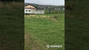 Самые дешевые участки под Анапой.  #анапа #дача #недвижимость