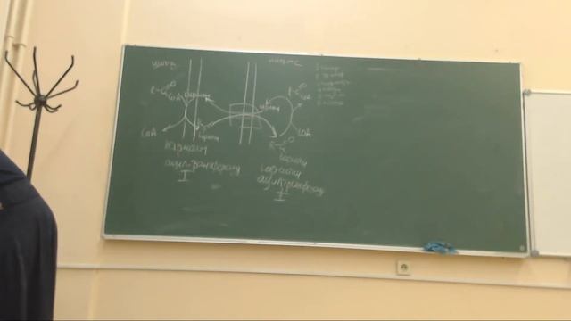 Прямая трансляция пользователя Biochemistry not for dummies смотреть онлайн