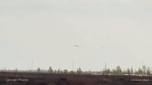 Охота на гуся 2022 весна