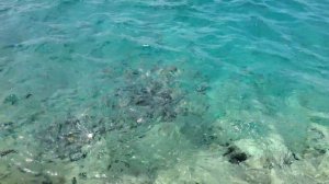 My Trip To Hotel Brisas Santa Lucia