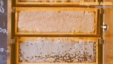 Мед разнотравный