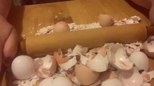 Заготовка яичной скорлупы. Добавки в лунку при посадке рассады.???