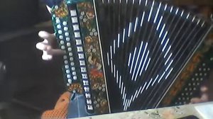 ой тайга моя густая разбор гармонь