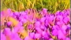 Певек. Летом и зимой на Чукотке. Часть 1