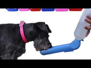 Походная поилка для собак / Travel drinker for dogs