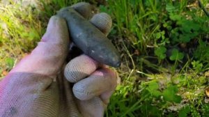 поход в поисках окаменелостей юрского периода на газонах города Москвы,