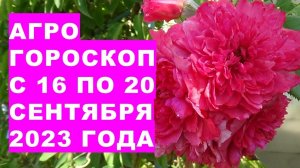 Агрогороскоп с 16 по 20 сентября 2023 года. Horoscope from September 16 to 20, 2023