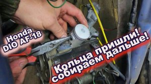 Honda DIO AF-18 Оживляем труп!