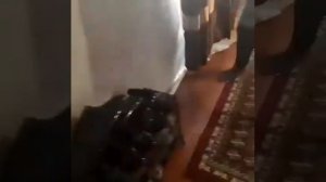 Ижарага ховли берилади  +998994389448