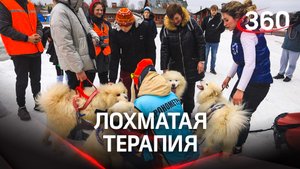 Гонки на собачьих упряжках: инклюзивный фестиваль ездового спорта в Истре