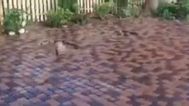 Укладка смотреть онлайн