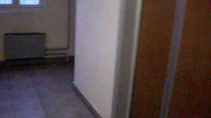 Электрический лифт V=1 м-с, грузоподъемность 320 кг (266)